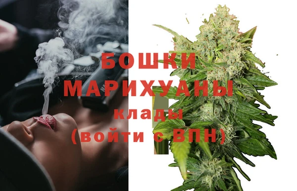 индика Покровск